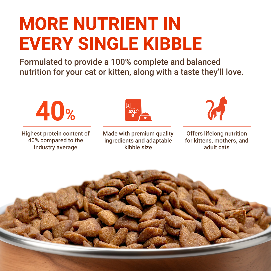 S40 Hair & Skin Cat Kibbles