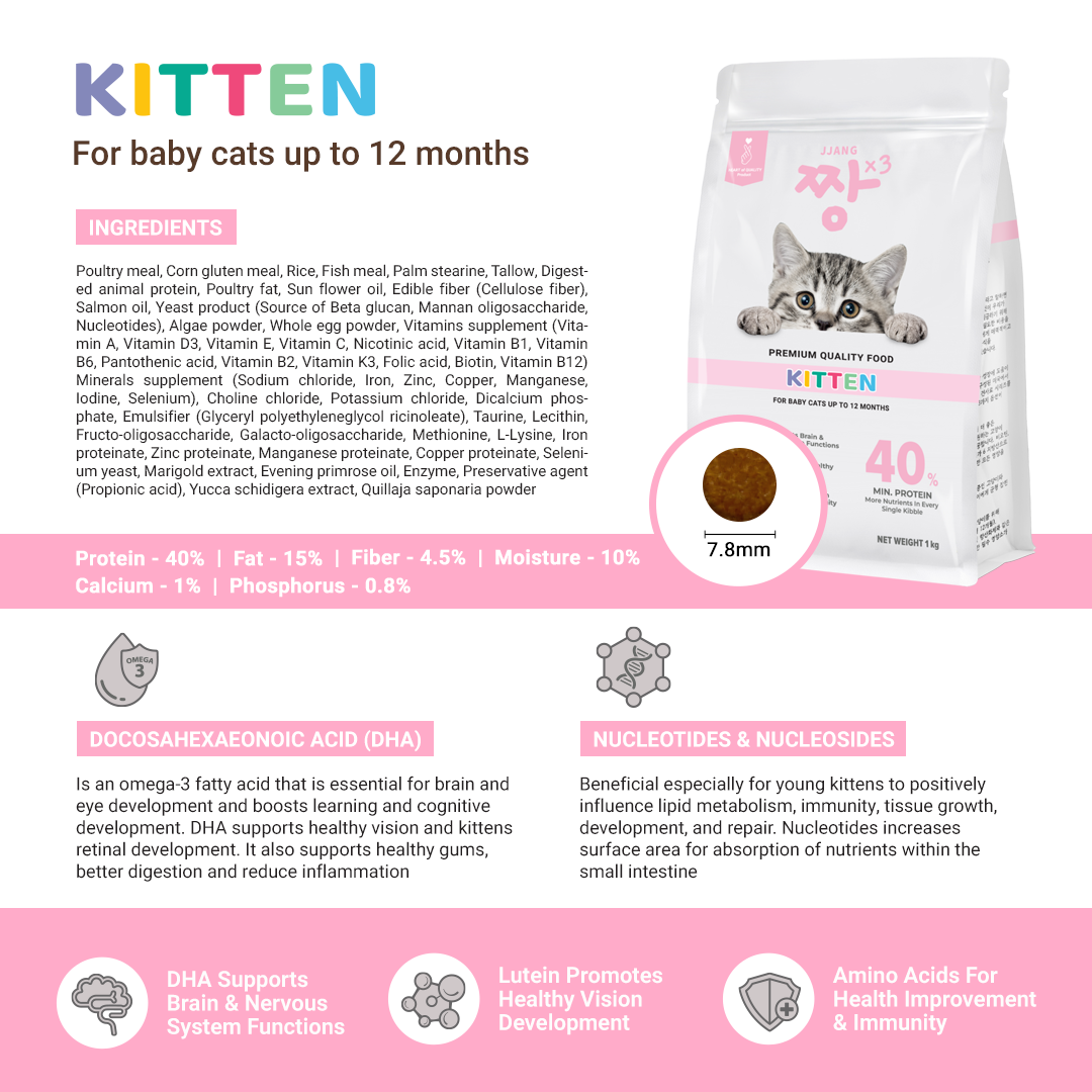 S40 Kitten Kibbles