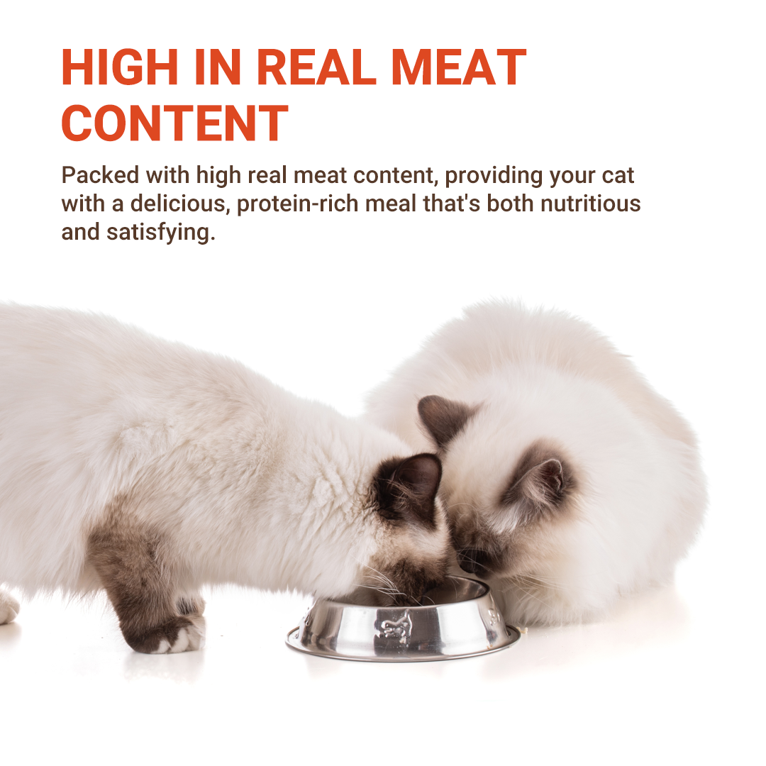JJANGX3 Eco-choice Pouch Cat Food Real Meat Fish Makanan Kucing 70g (70g x 180pcs)