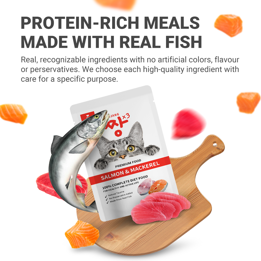 70g Premium Pouch Cat Wet Food