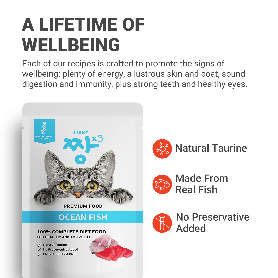 70g Premium Pouch Cat Wet Food
