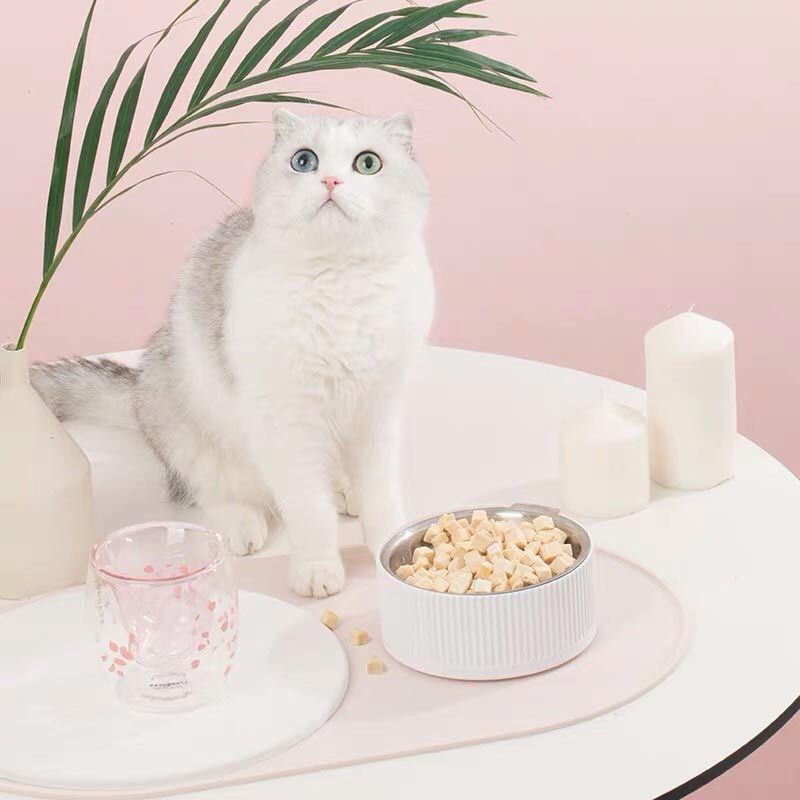 The Benefits of Grain-Free Cat Food: A Nutritional Choice for Your Feline Friend