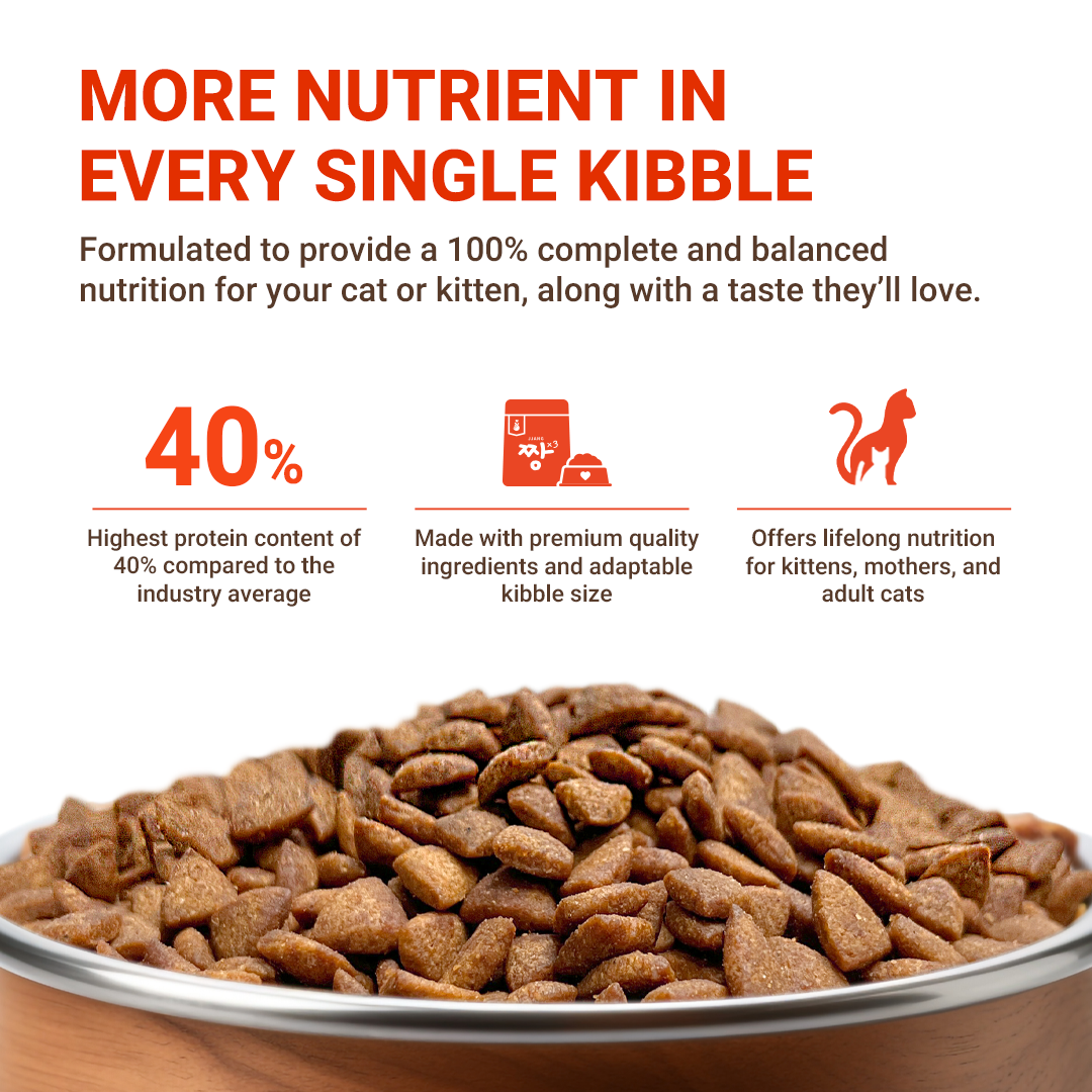 Premium S40 Cat Kibbles Dry Food