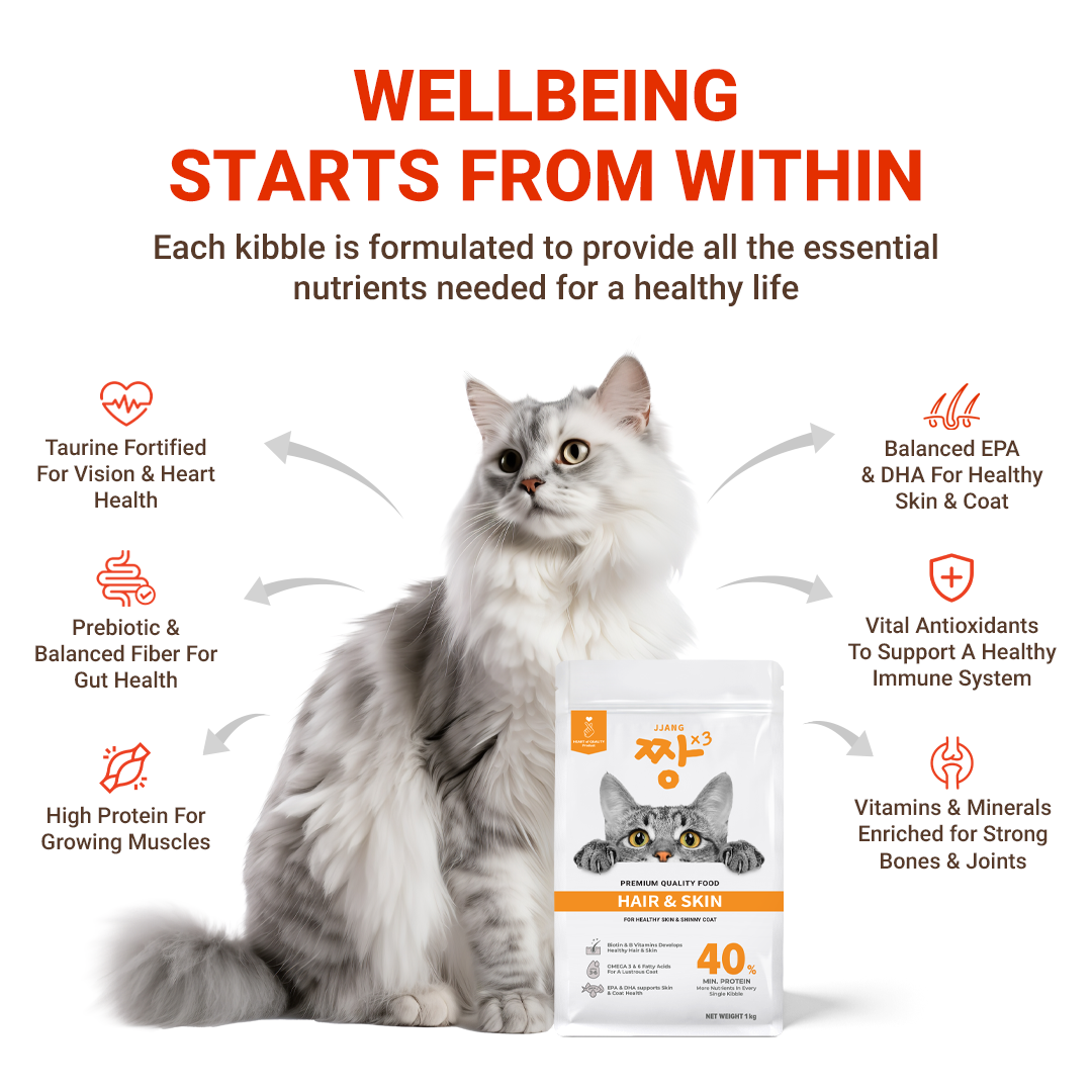 JJANGX3 Premium Cat Dry Food 40% Protein (Hair & Skin, Kitten & Mother Baby) (1kg x 12 packs)