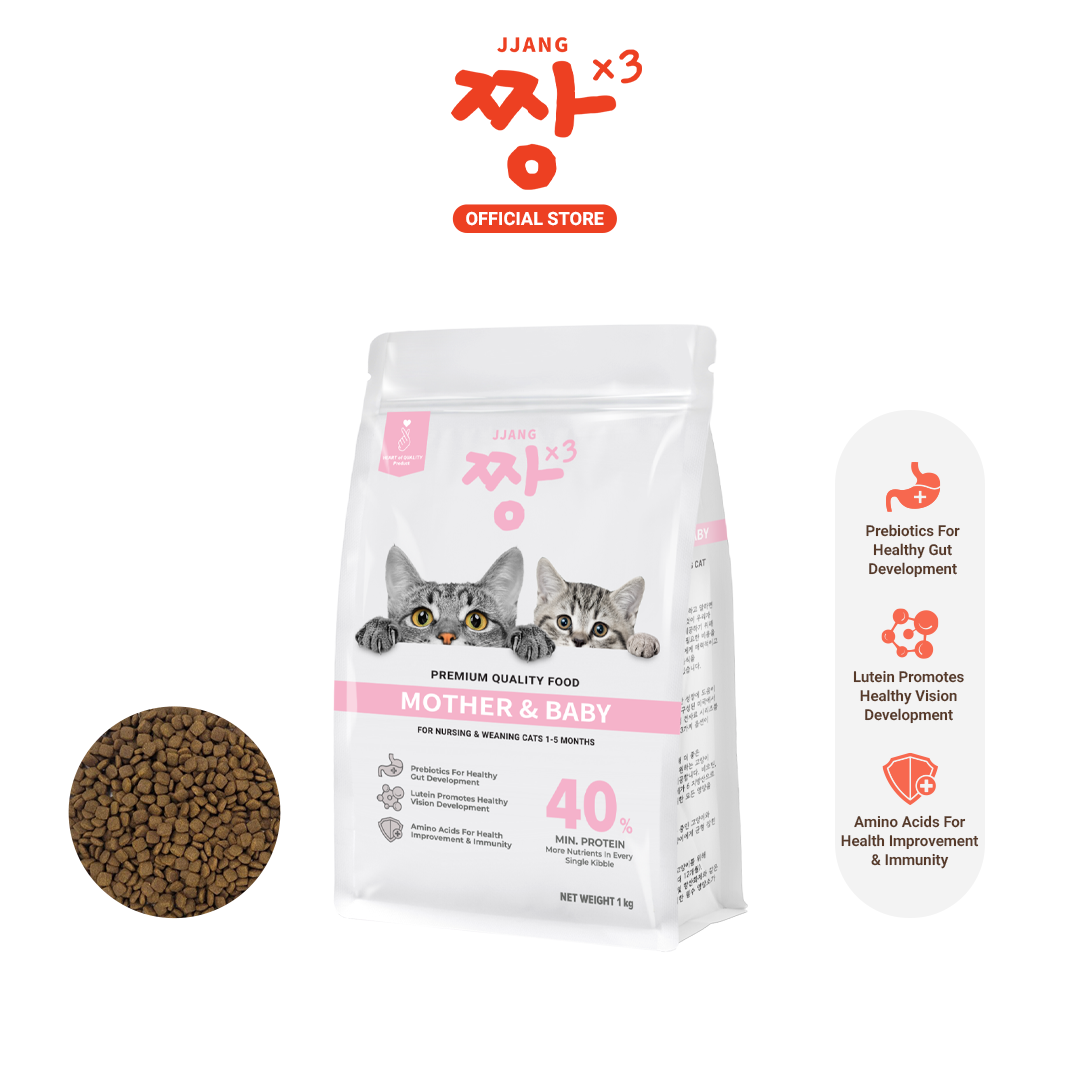 Premium S40 Cat Kibbles Dry Food