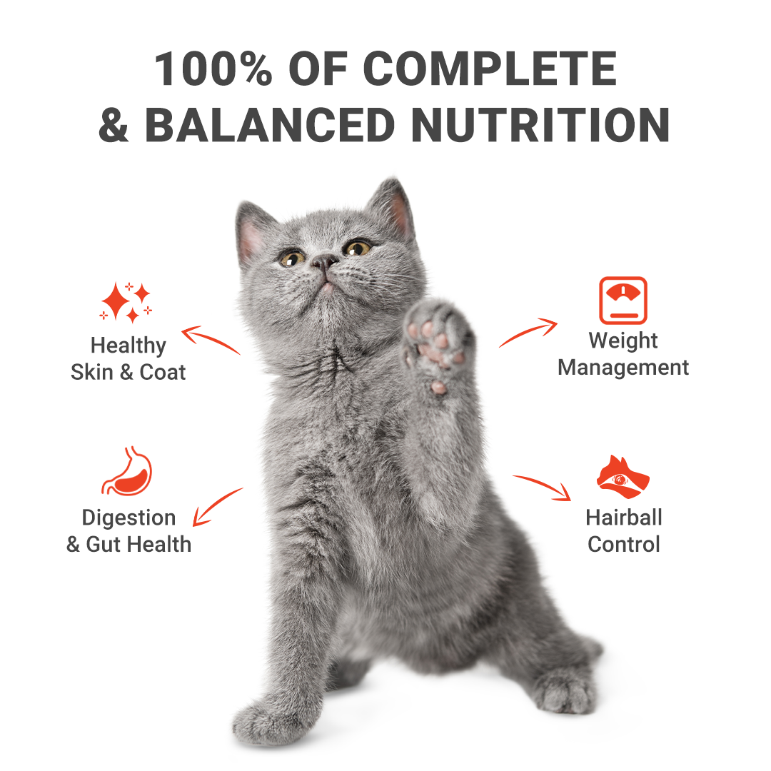 70g Premium Pouch Cat Wet Food